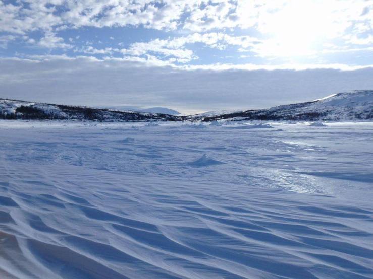 17191084_10154576166236636_7516532418771383513_n