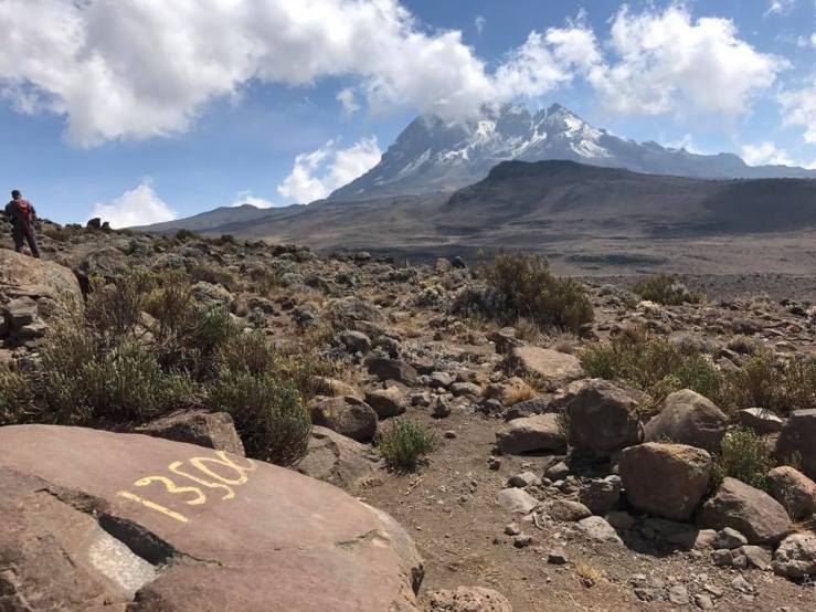 22730453_10214690778167125_2398084191432308805_n